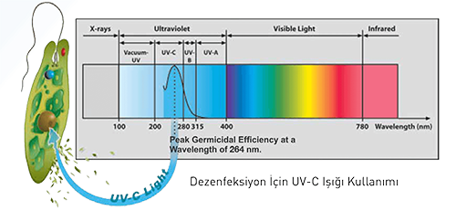 SAFELIGHT UV-C ÜNİTESİ